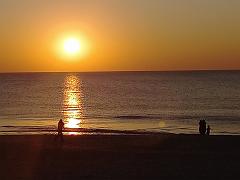 Sylt (126)